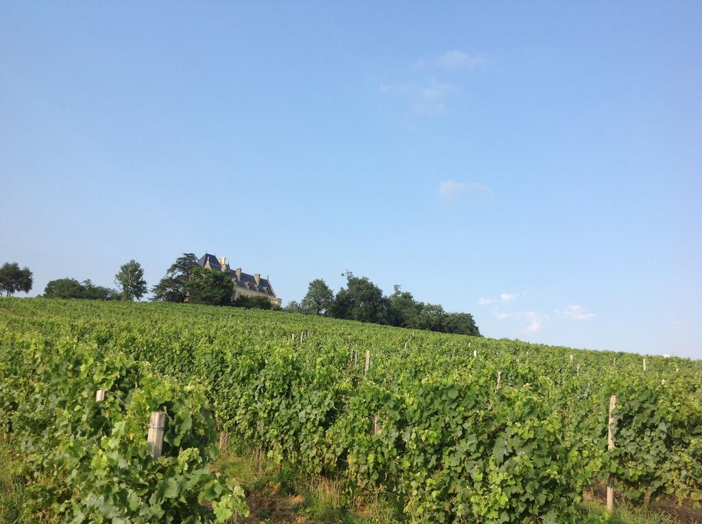 Chateau Fauchey Panzió Cadillac Kültér fotó